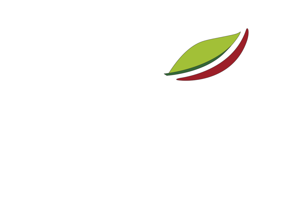 Vita Smile